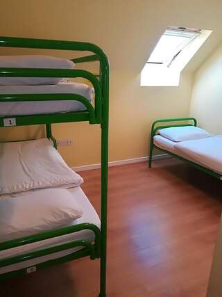Проживание в семье New Street Lodge Килларни Односпальная кровать в общем номере для мужчин и женщин-4